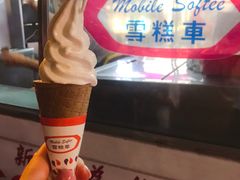 -富豪雪糕车流动点(尖沙咀店)