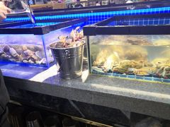 -圣罗巴海鲜自助(黑金店)