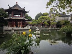 -碧江金楼