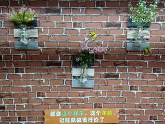 -苏州5D星空错觉艺术馆