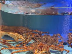 -阿伟海鲜楼·福建菜(延寿店)
