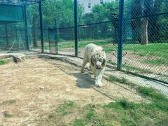 -郑州市动物园