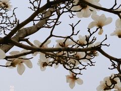 -国家图书馆·古籍馆