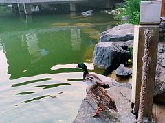 -上海怡沁园度假酒店