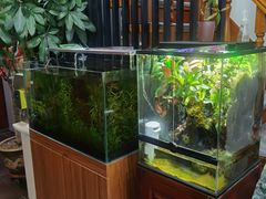 -繁花足道(梅江店)