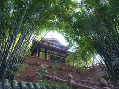 -青羊宫