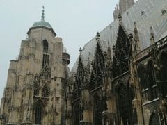 -斯蒂芬主教座堂(Stephansdom)