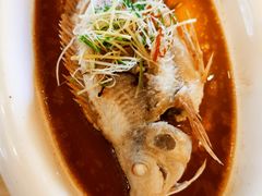 -顺峰(南二环店)