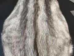 -猫力发电所·宠物专门店