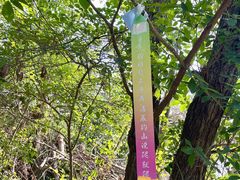 -青龙山国家森林公园