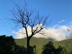 -梧桐山风景名胜区