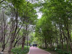 -长春市南湖公园