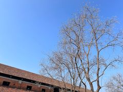 -祝甸砖窑文化馆