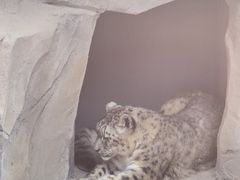 -青藏高原野生动物园
