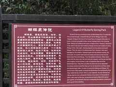 -蝴蝶泉公园