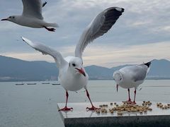 -海埂大坝