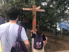 -滴水岩森林公园