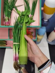 -米兜欢乐王国·儿童乐园(宝安益田假日天地店)