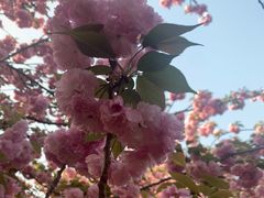 -白塘生态植物园