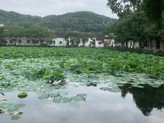 -枣子树·素食餐厅(普陀山店)