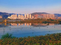 -西双版纳原始森林公园