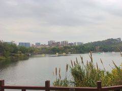 -广东花都湖国家湿地公园