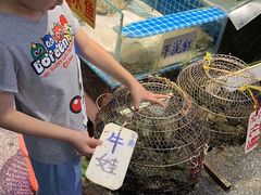 -珠光市场(文德南路)