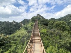 -大岭沟猕猴桃谷风景区