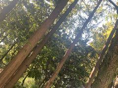 -汇龙潭