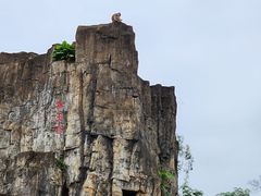 -海南热带野生动植物园