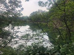 -王借岗森林公园