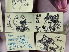 -星多哈·狗咖·拼豆·咖啡
