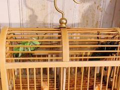 -Rabbit Cafe私房西餐甜点咖啡(栖霞路店)