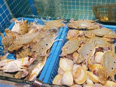 -曼格活海鲜·牛排自助(光明蓝鲸店)