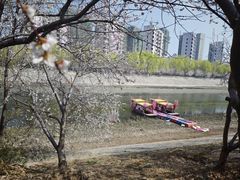 -桃花堤公园
