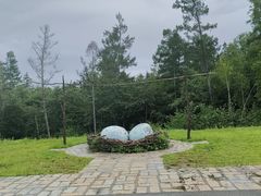 -五营国家森林公园