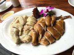 -凤中皇清远鸡村(凤城店)