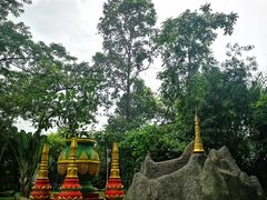 -瑞丽独树成林风景区