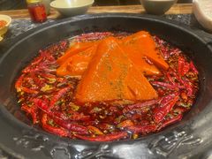 -蜀大侠火锅(建设路第五大道店)