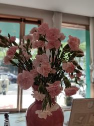 -Dr.林醫生产后修复·配方产康店(南京大厂店)