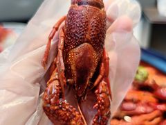 -红盔甲·小龙虾(天钥桥店)