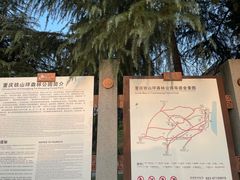 -铁山坪森林公园