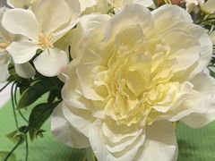 -广州建国酒店·君豪西餐自助餐厅