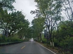 -綦江古剑山