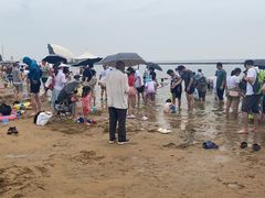 -碧海金沙