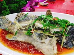 -刘记糟粕醋海鲜烧烤