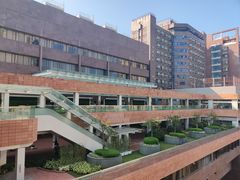 -香港大学