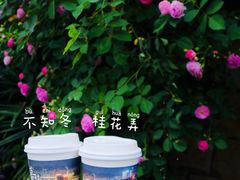 -茶颜悦色(重庆英利大融城LG层店)