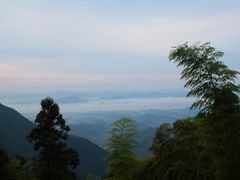 -东天目山风景区