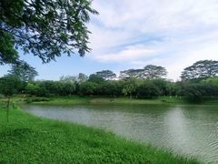 -东莞植物园